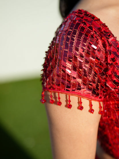 Red Sequins Blouse with Georgette Mermaid Skirt Party Wear Co-ord Set
