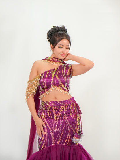 Plum Purple Mermaid Lehenga with Sequins & Cut Dana Embroidery Net Set