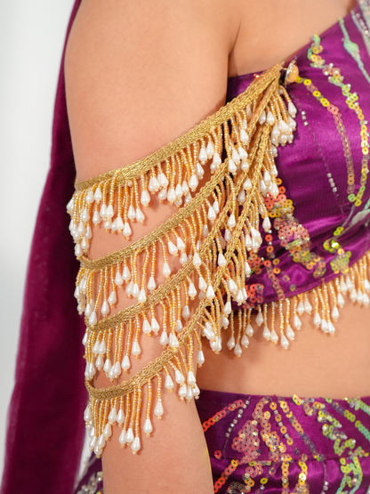 Plum Purple Mermaid Lehenga with Sequins & Cut Dana Embroidery Net Set