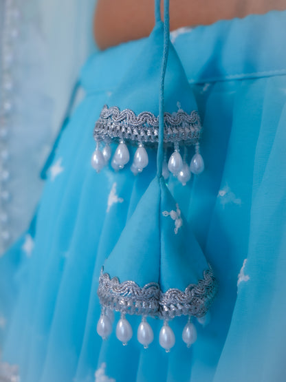 Sky Blue Bollywood Inspired Lehenga Choli Set for Women – Printed Georgette Fabric with Embroidered Border & Dupatta
